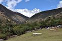 13. dingboche-tengboche (95)